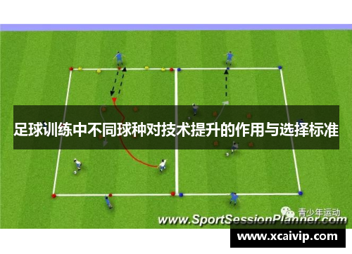 足球训练中不同球种对技术提升的作用与选择标准